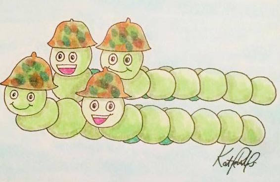 12922297_10207348201637151_15230091_o